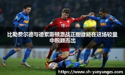 im电竞官网
