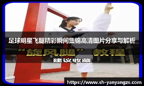 足球明星飞腿精彩瞬间集锦高清图片分享与解析