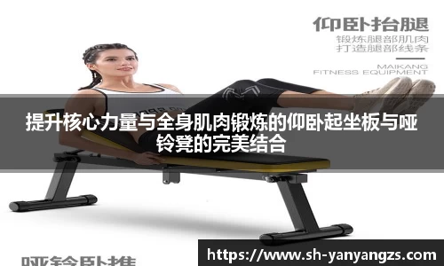 提升核心力量与全身肌肉锻炼的仰卧起坐板与哑铃凳的完美结合